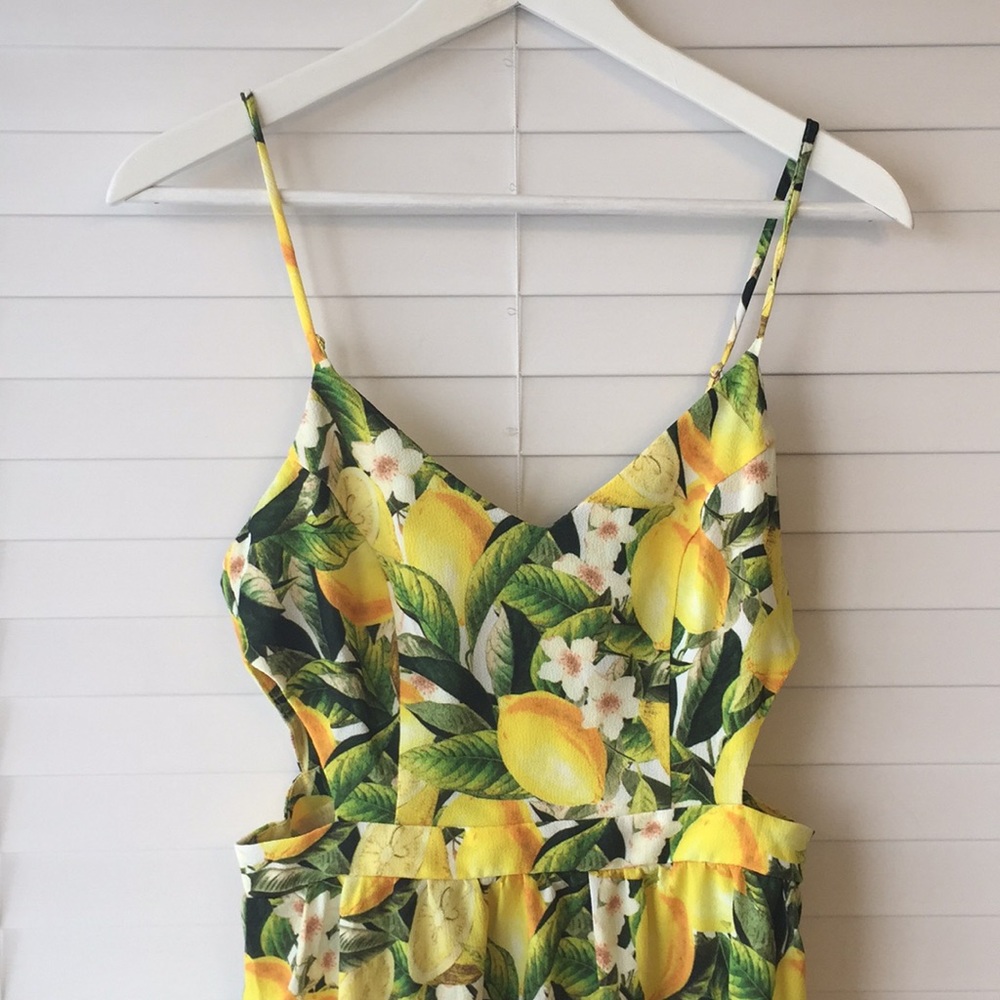 Show Me Your Mumu Dress - Picture 4 of 6
